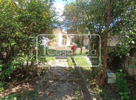 WhatsApp Image 2026-03-24 at 15.32.32 (1)